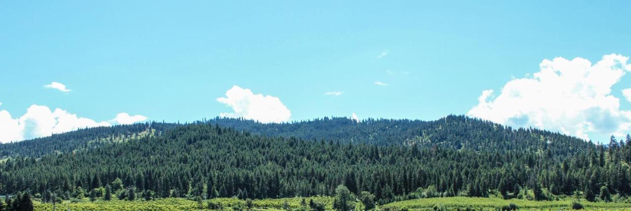 Peshastin Wedge Mountain Inn מראה חיצוני תמונה